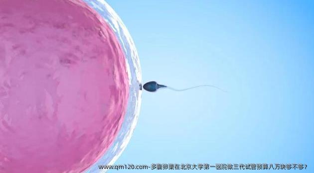 多囊卵巢在北京大学第一医院做三代试管预算八万块够不够？