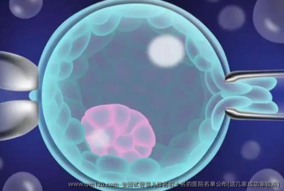 国内试管婴儿排名前十名的医院名单公布(这几家成功率较高)