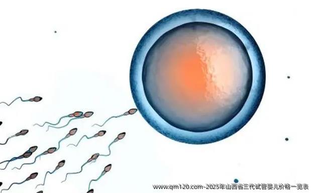 2025年山西省三代试管婴儿价格一览表