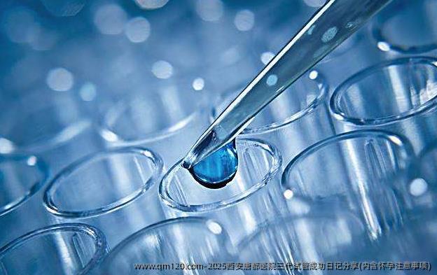 2025西安唐都医院三代试管成功日记分享(内含怀孕注意事项)