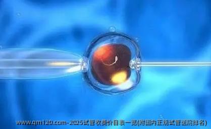 2025试管收费价目表一览(附国内正规试管医院排名)