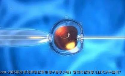 2025年在安陆市做试管生孩子要多少钱？安陆市试管婴儿技术水平如何？