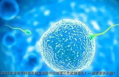 2025年哈密市有哪些私立医院可以做第三代试管婴儿？一般需要多少钱？