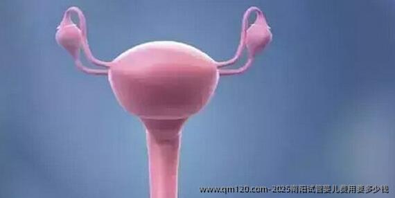 2025南阳试管婴儿费用要多少钱