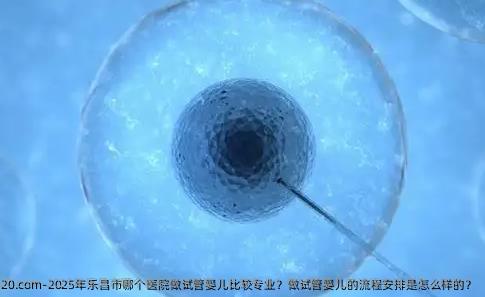 2025年乐昌市哪个医院做试管婴儿比较专业？做试管婴儿的流程安排是怎么样的？