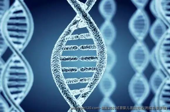 湖南2025试管婴儿医院排名(附成功率详情)