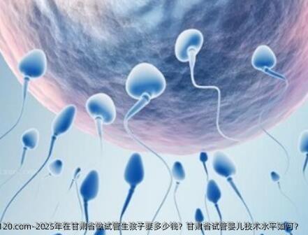 2025年在甘肃省做试管生孩子要多少钱？甘肃省试管婴儿技术水平如何？