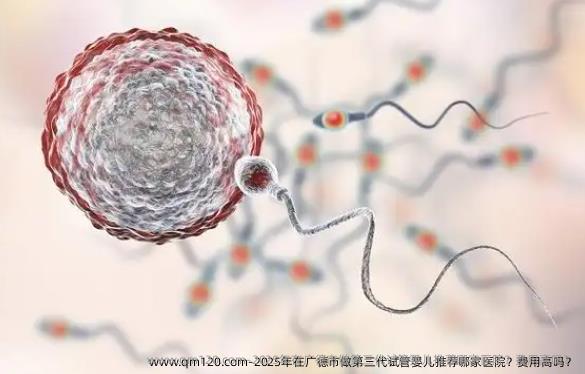 2025年在广德市做第三代试管婴儿推荐哪家医院？费用高吗？