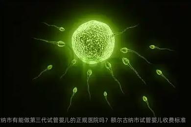 2025年额尔古纳市有能做第三代试管婴儿的正规医院吗？额尔古纳市试管婴儿收费标准