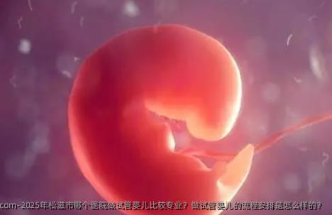 2025年松滋市哪个医院做试管婴儿比较专业？做试管婴儿的流程安排是怎么样的？