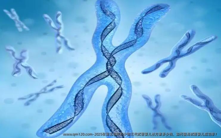 2025在湖北省卵泡少做三代试管婴儿长方案多少钱，如何提高试管婴儿成功率？