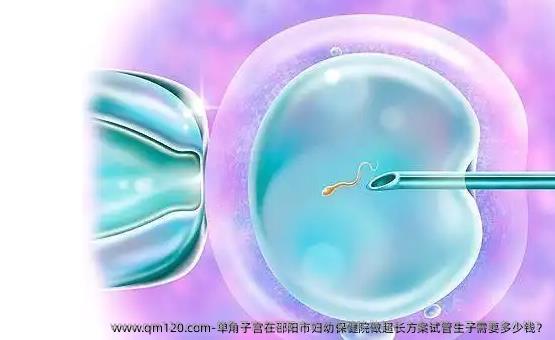 单角子宫在邵阳市妇幼保健院做超长方案试管生子需要多少钱？