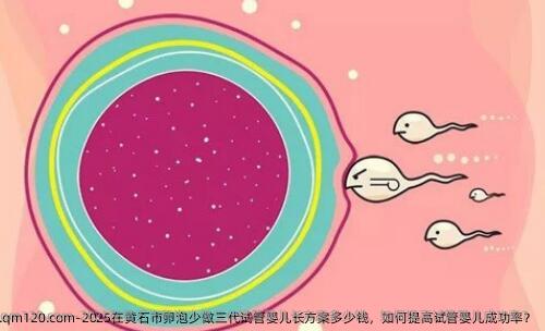2025在黄石市卵泡少做三代试管婴儿长方案多少钱，如何提高试管婴儿成功率？