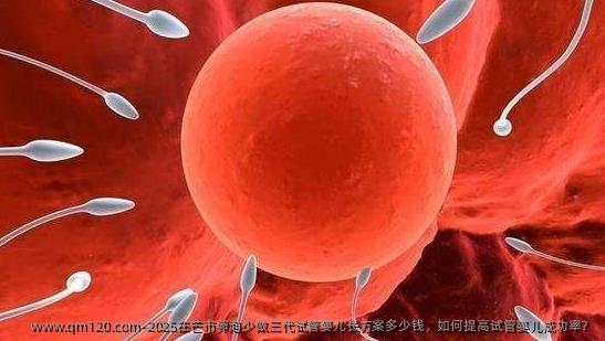 2025在芒市卵泡少做三代试管婴儿长方案多少钱，如何提高试管婴儿成功率？