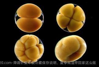 降调针要不要冷藏保存说明，夏季高温带回家这么做
