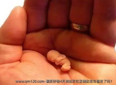 囊胚移植4天测出双杠是确定成功着床了吗？