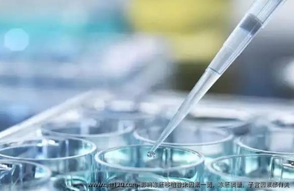 影响冻胚移植着床因素一览，冻胚质量、子宫因素都有关
