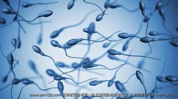 兰州试管排名第一私立医院排名较新汇总 兰州试管婴儿多少钱一次?！