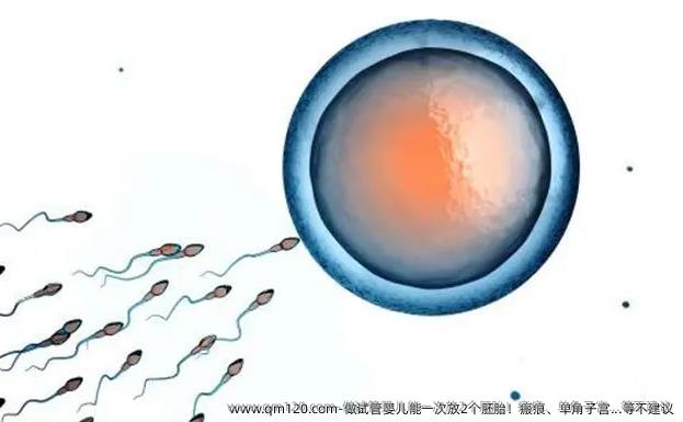 做试管婴儿能一次放2个胚胎！瘢痕、单角子宫...等不建议