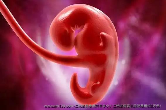 二代试管费用总共多少？二代试管婴儿医院费用约5万元！