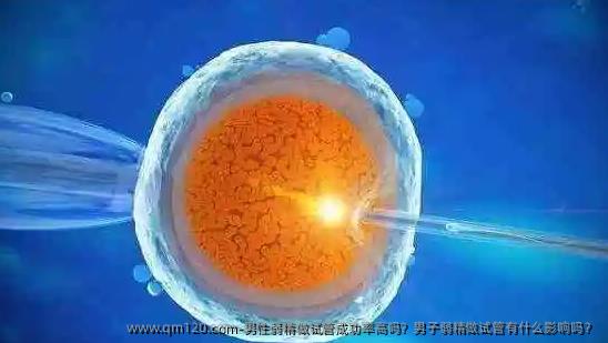 男性弱精做试管成功率高吗？男子弱精做试管有什么影响吗？
