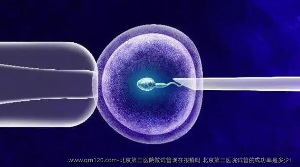 北京第三医院做试管现在报销吗 北京第三医院试管的成功率是多少！