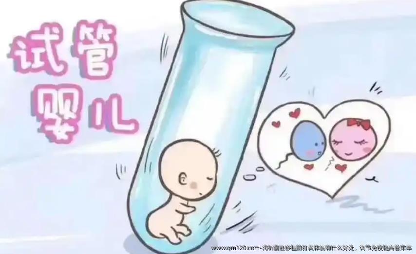 浅析囊胚移植前打黄体酮有什么好处，调节免疫提高着床率