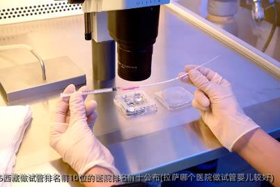 2025西藏做试管排名前10位的医院排名前十公布(拉萨哪个医院做试管婴儿较好)