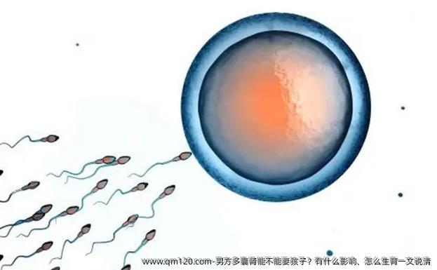 男方多囊肾能不能要孩子？有什么影响、怎么生育一文说清