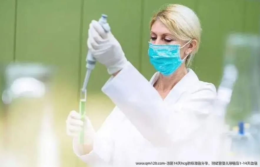 冻胚14天hcg的标准值分享，附试管婴儿移植后1-14天血值