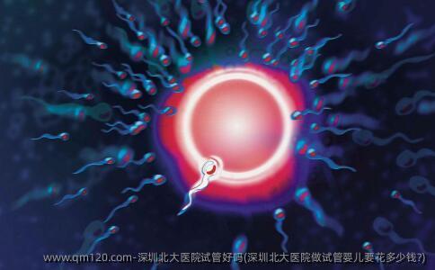 深圳北大医院试管好吗(深圳北大医院做试管婴儿要花多少钱?)