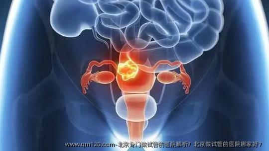 北京专门做试管的医院解析？北京做试管的医院哪家好？