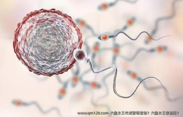 六盘水三代试管哪里做？六盘水三级医院？