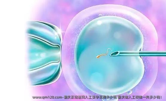 重庆正规医院人工受孕花费多少钱 重庆做人工授精一共多少钱！