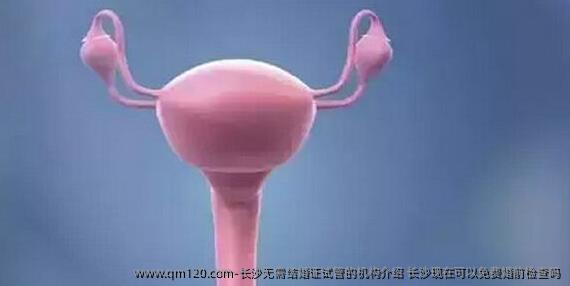 长沙无需结婚证试管的机构介绍 长沙现在可以免费婚前检查吗