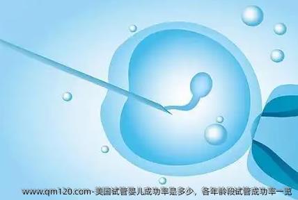 美国试管婴儿成功率是多少，各年龄段试管成功率一览