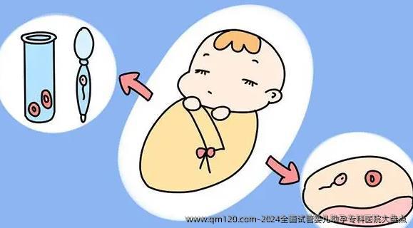 2024国内试管婴儿助孕专科医院大盘点