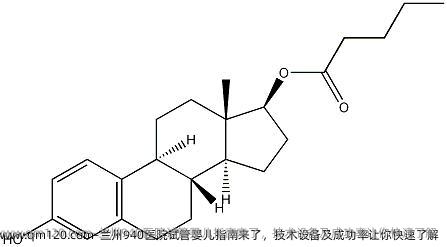 兰州940医院试管婴儿指南来了，技术设备及成功率让你快速了解