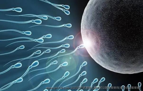 2025辽宁试管婴儿费用可以医保报销吗(看看合适能报销)