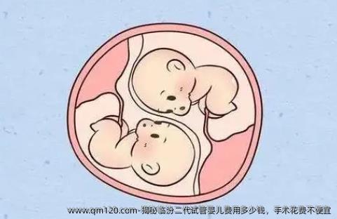 揭秘临汾二代试管婴儿费用多少钱，手术花费不便宜