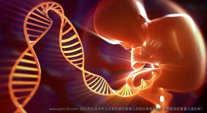 2025年在抚州市公立医院做试管婴儿的成功率高不高？如何提高试管婴儿成功率？