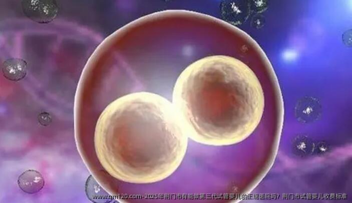 2025年荆门市有能做第三代试管婴儿的正规医院吗？荆门市试管婴儿收费标准