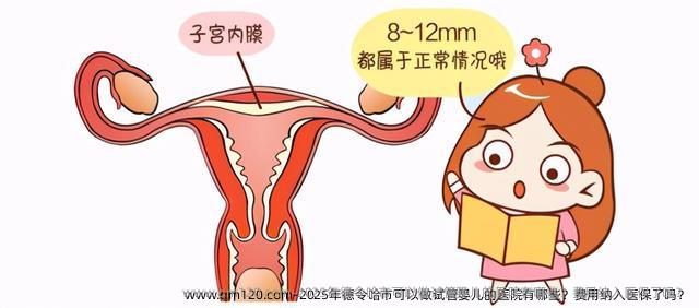 2025年德令哈市可以做试管婴儿的医院有哪些？费用纳入医保了吗？