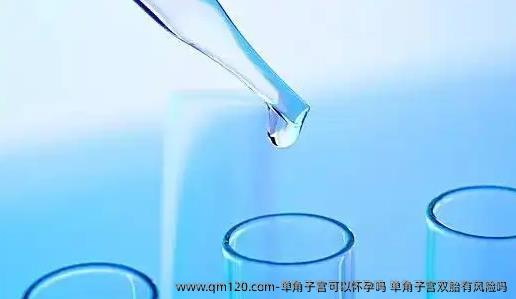 单角子宫可以怀孕吗 单角子宫双胎有风险吗