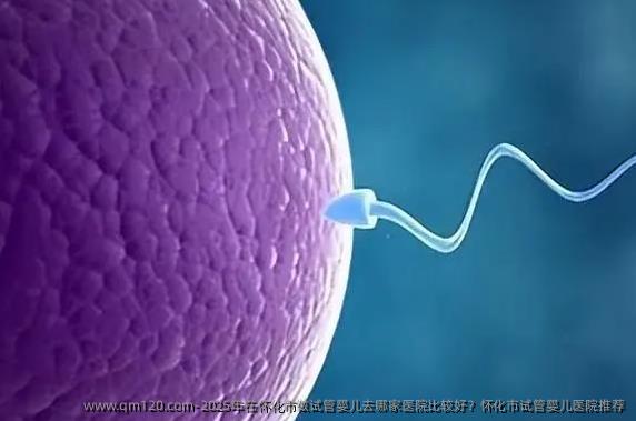2025年在怀化市做试管婴儿去哪家医院比较好？怀化市试管婴儿医院推荐
