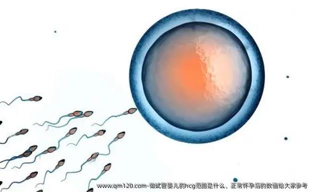 做试管婴儿的hcg范围是什么，正常怀孕后的数值给大家参考