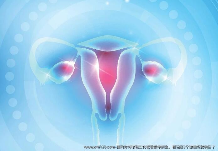 国内为何限制三代试管助孕别急，看完这3个原因你就明白了