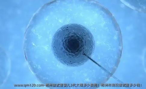 郴州做试管婴儿3代大概多少费用！郴州市南院做试管多少钱！