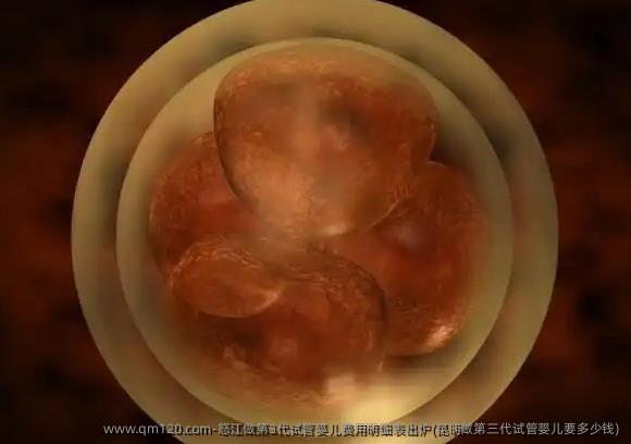 怒江做第3代试管婴儿费用明细表出炉(昆明做第三代试管婴儿要多少钱)