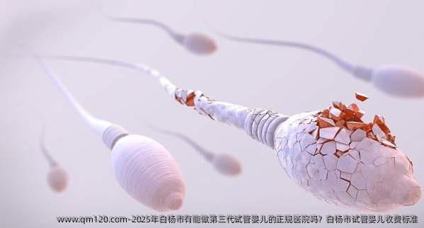 2025年白杨市有能做第三代试管婴儿的正规医院吗？白杨市试管婴儿收费标准
